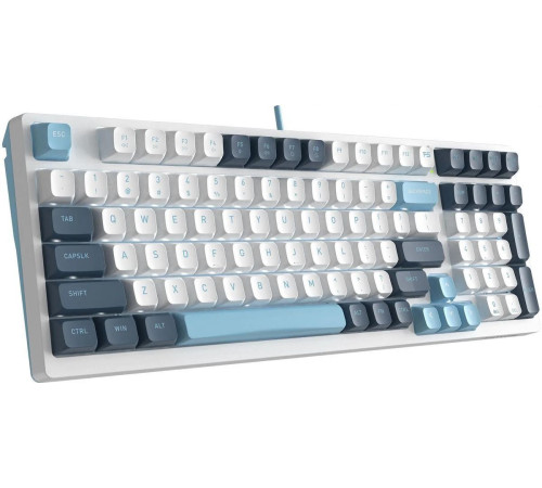 Клавиатура A4Tech Fstyler FS300 Panda Snowboarding