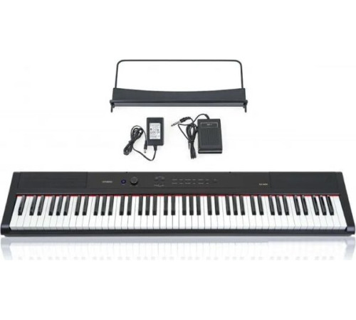 Цифровое пианино Artesia Performer черный