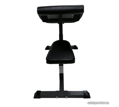 Скамья Скотта DFC Homegym UB008