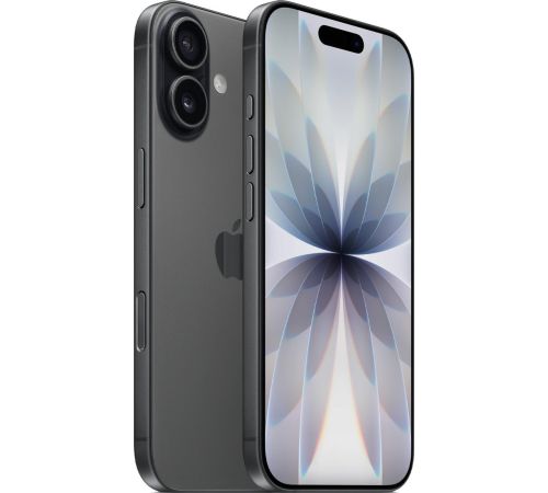 Телефон Apple iPhone 17 Dual SIM 256GB черный