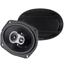 Коаксиальная АС Nakamichi NSE6918R