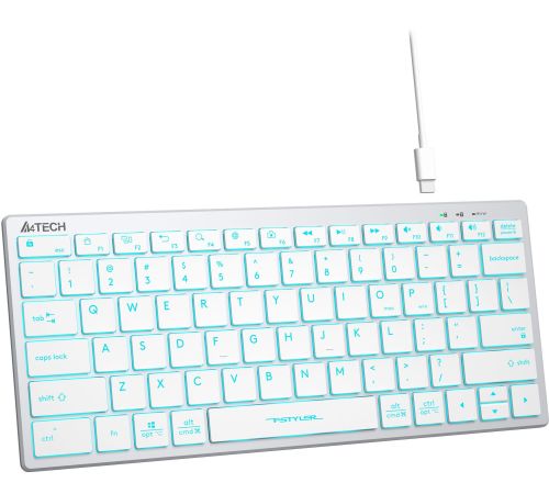 Клавиатура A4Tech Fstyler FX61 серебристый/белый