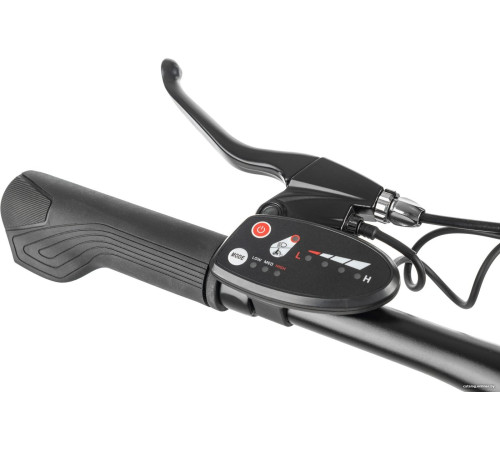 Электровелосипед MyWay Let 250 26 бронзовый