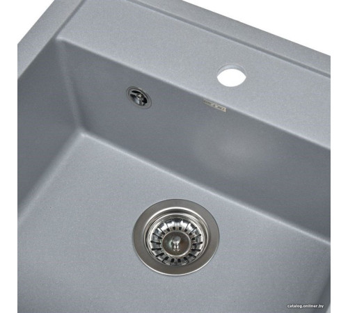 Кухонная мойка Wisent 510-29W с сифоном GER013