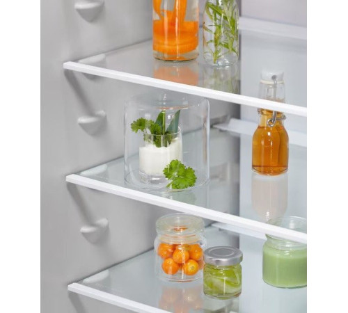 Холодильник Electrolux E6MNTE19S