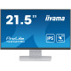 Монитор Iiyama ProLite T2252MSC-W2