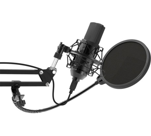 Микрофон Ritmix RDM-169