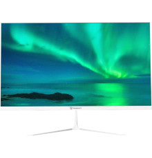 Монитор Raskat I24F10DAW