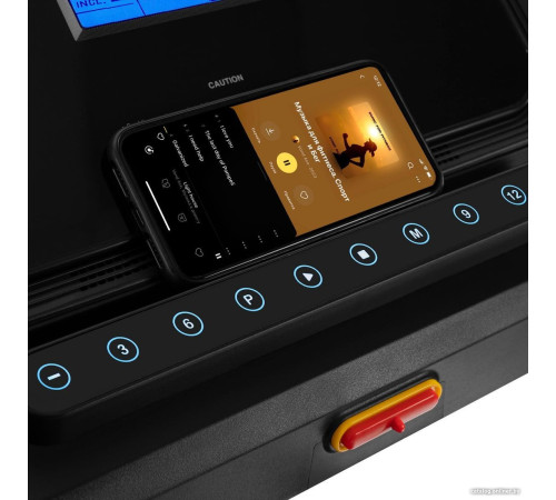 Электрическая беговая дорожка Titanium Masters Physiotech M380