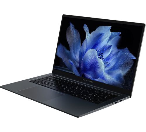 Ноутбук Maibenben P725 P7251SF0LGRE0
