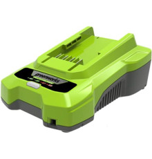 Зарядное устройство Greenworks G24C4 24В