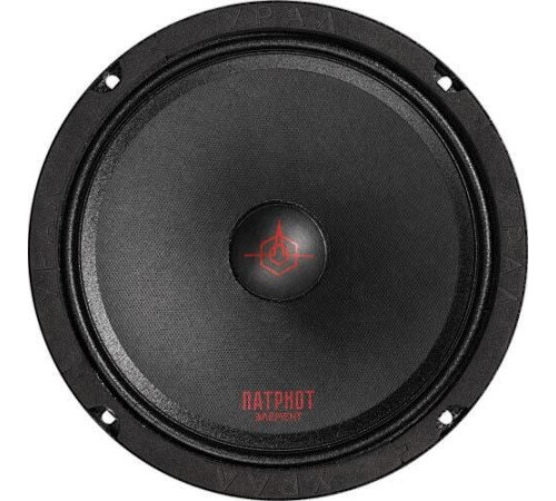 Среднечастотная АС Урал АС-ПТ200