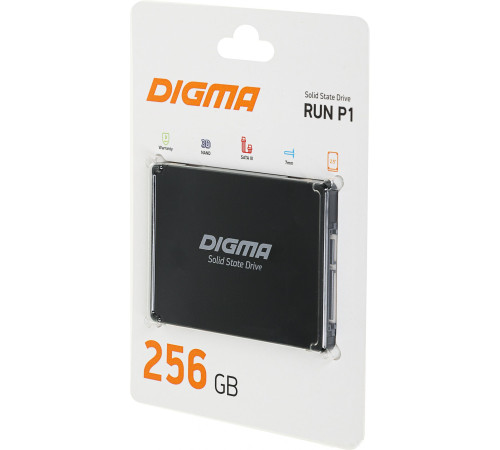 SSD Digma Run P1 256GB DGSR2256GP13T