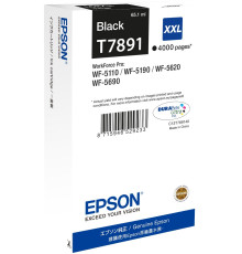 Картридж Epson C13T789140