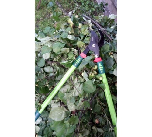 Сучкорез Verto 15G254