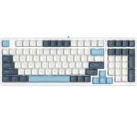 Клавиатура A4Tech Fstyler FS300 Panda Snowboarding