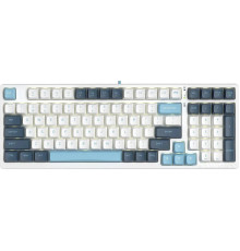 Клавиатура A4Tech Fstyler FS300 Panda Snowboarding