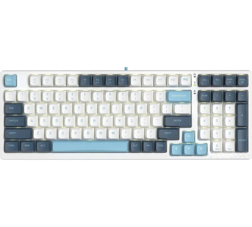 Клавиатура A4Tech Fstyler FS300 Panda Snowboarding