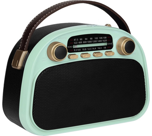 Радиоприемник Ritmix RPR-040 мятный