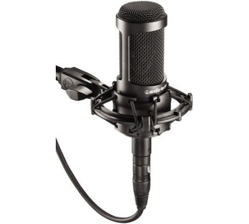 Микрофон Audio-Technica AT2035