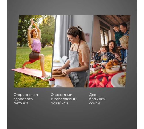 Сушилка для овощей и фруктов Redmond Редмонд FD1104