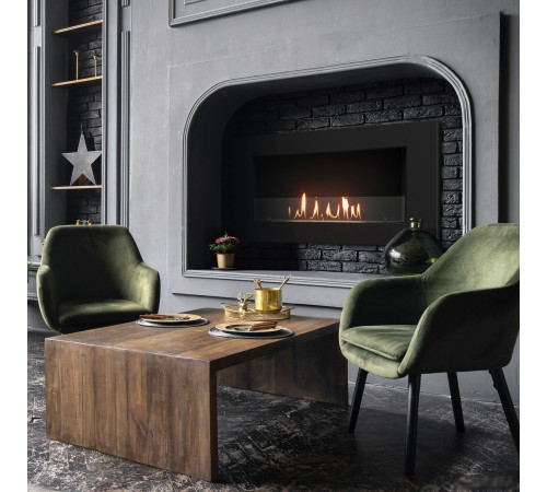 Биокамин Firelight BFP/W-110