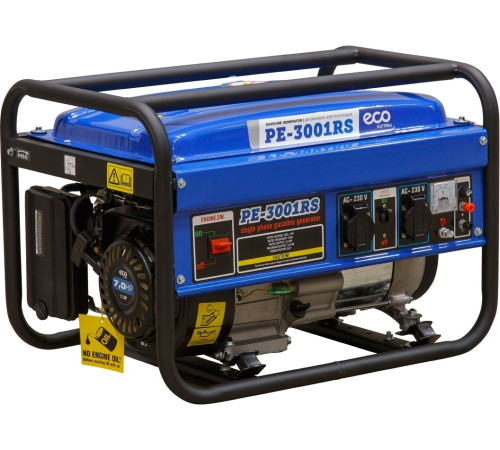 Бензиновый генератор ECO PE-3001RS