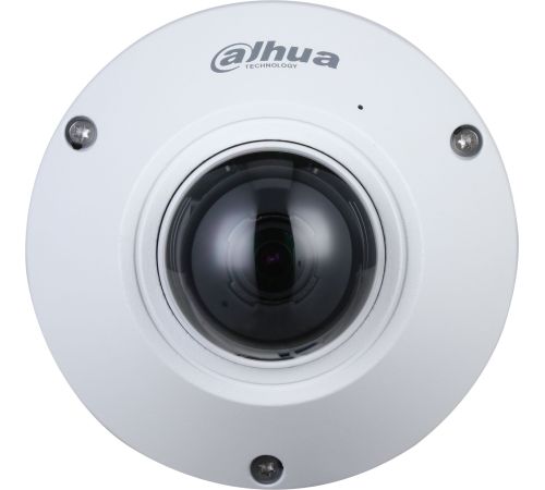 IP-камера Dahua DH-IPC-EB5541P-AS