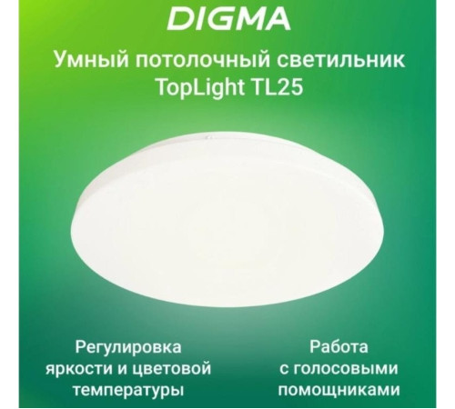 Светильник Digma TopLight TL25