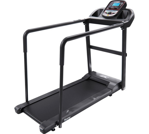 Электрическая беговая дорожка DFC Romy T195