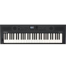 Синтезатор Roland Go:Keys 5 графит