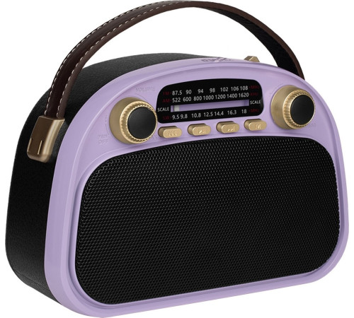 Радиоприемник Ritmix RPR-040 лавандовый