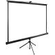Проекционный экран CACTUS TriExpert 220x220 CS-PSTE-220X220-BK