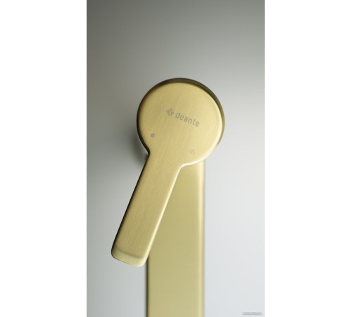 Смеситель Deante Arnika BQA R20M золото