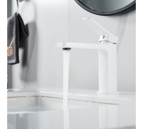 Смеситель Shevanik S9901C