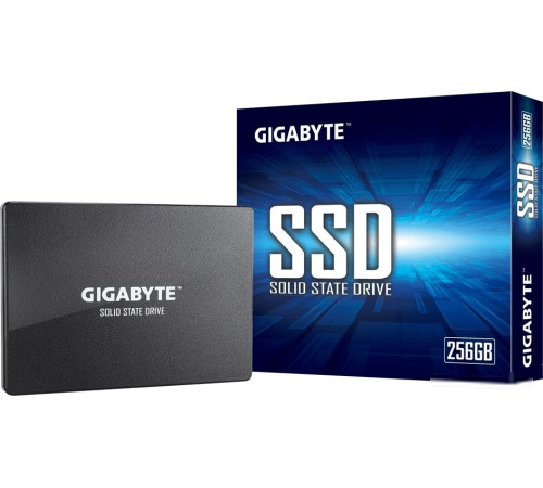 SSD Gigabyte 256GB GP-GSTFS31256GTND