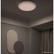 Светильник-тарелка Yeelight Arwen Ceiling Light 550C YLXD013-C