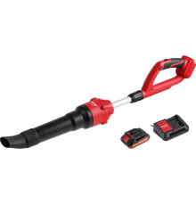 Ручная воздуходувка Wortex BB 2018-1 D ALL1 XLT SET 1334646 с 1-им АКБ