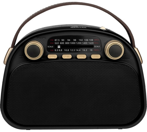 Радиоприемник Ritmix RPR-040 черный