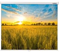 Проекционный экран Lumien Eco Picture 220x220 LEP-100110
