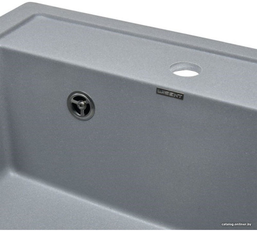 Кухонная мойка Wisent 510-29W с сифоном GER013