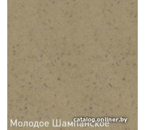 Кухонная мойка Zigmund & Shtain Rechteck 775 молодое шампанское