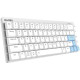 Клавиатура Dareu EK868 Kaihl Brown switch, White-Blue