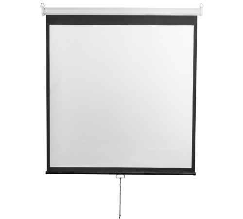 Проекционный экран Digis Optimal-D 206x209 DSOD-1105