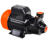 Насос  Patriot QB80