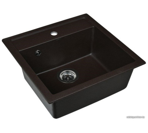 Кухонная мойка Wisent 510-27W с сифоном GER013