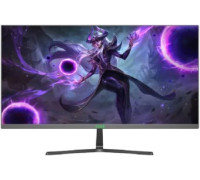 Игровой монитор ELSA EA241S Pro