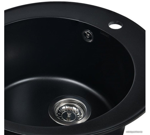 Кухонная мойка Wisent 510-26WR с сифоном GER013