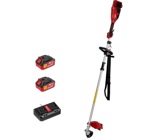 Триммер Wortex TB 3036-1 ALL1 XLT Set 1334872 с 2-мя АКБ