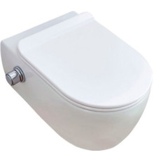 Унитаз подвесной SSWW CT2039V-B
